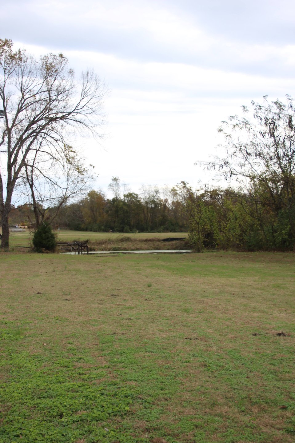 View from the long tee. Udisc has it at 290-300 feet to clear the water. 