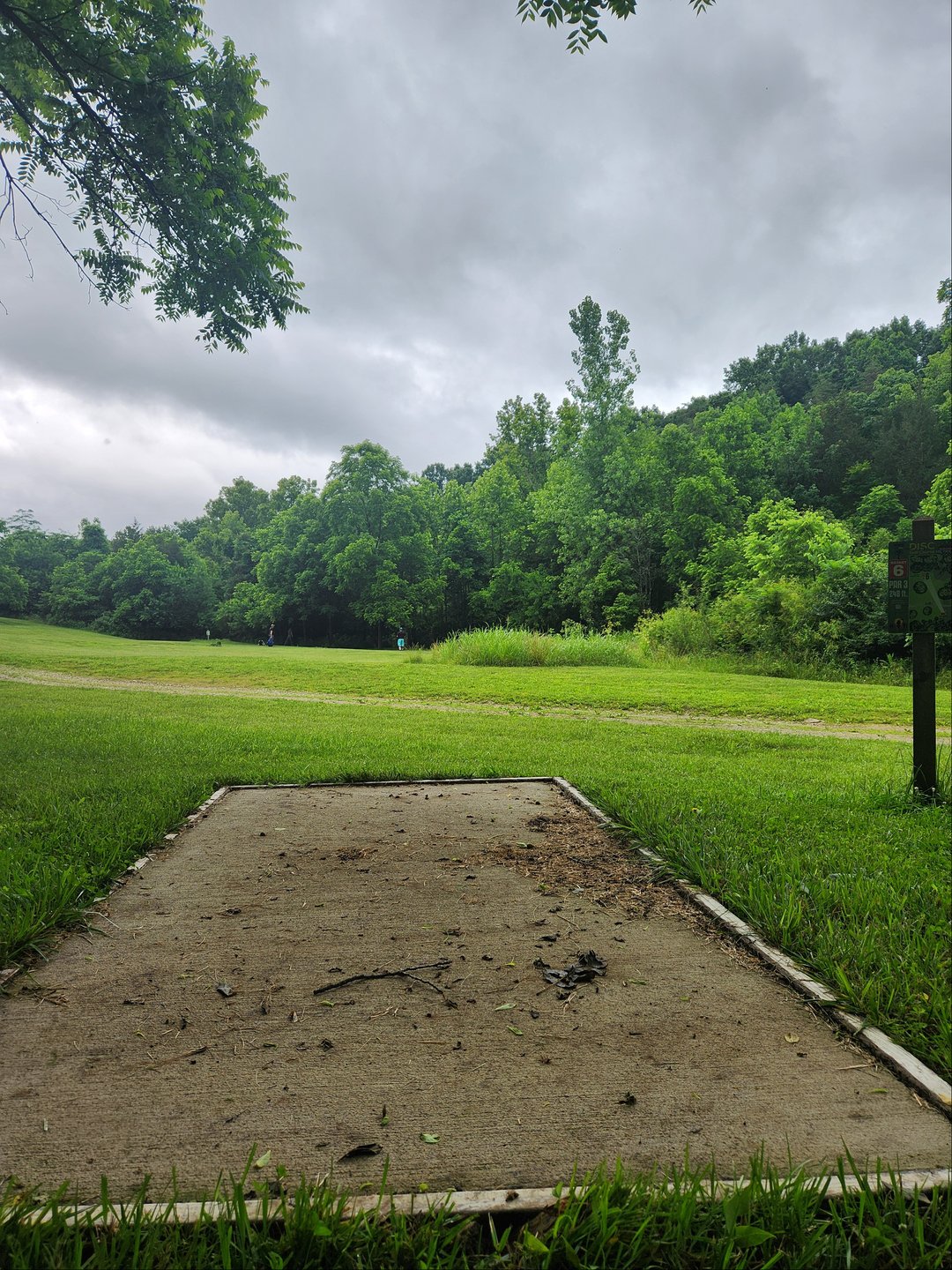 Tee pad and fairway