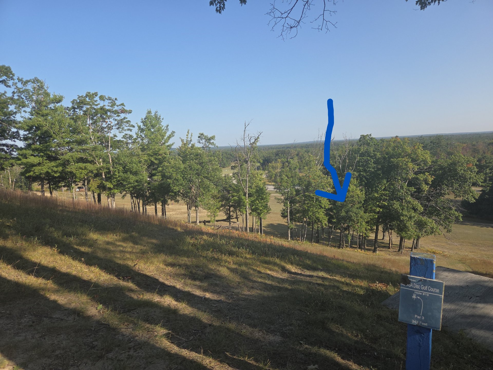 #19 basket on far side of the next tree line bottom right