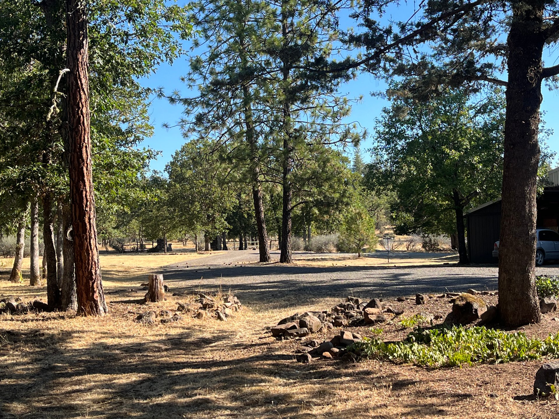 Mando between these trees