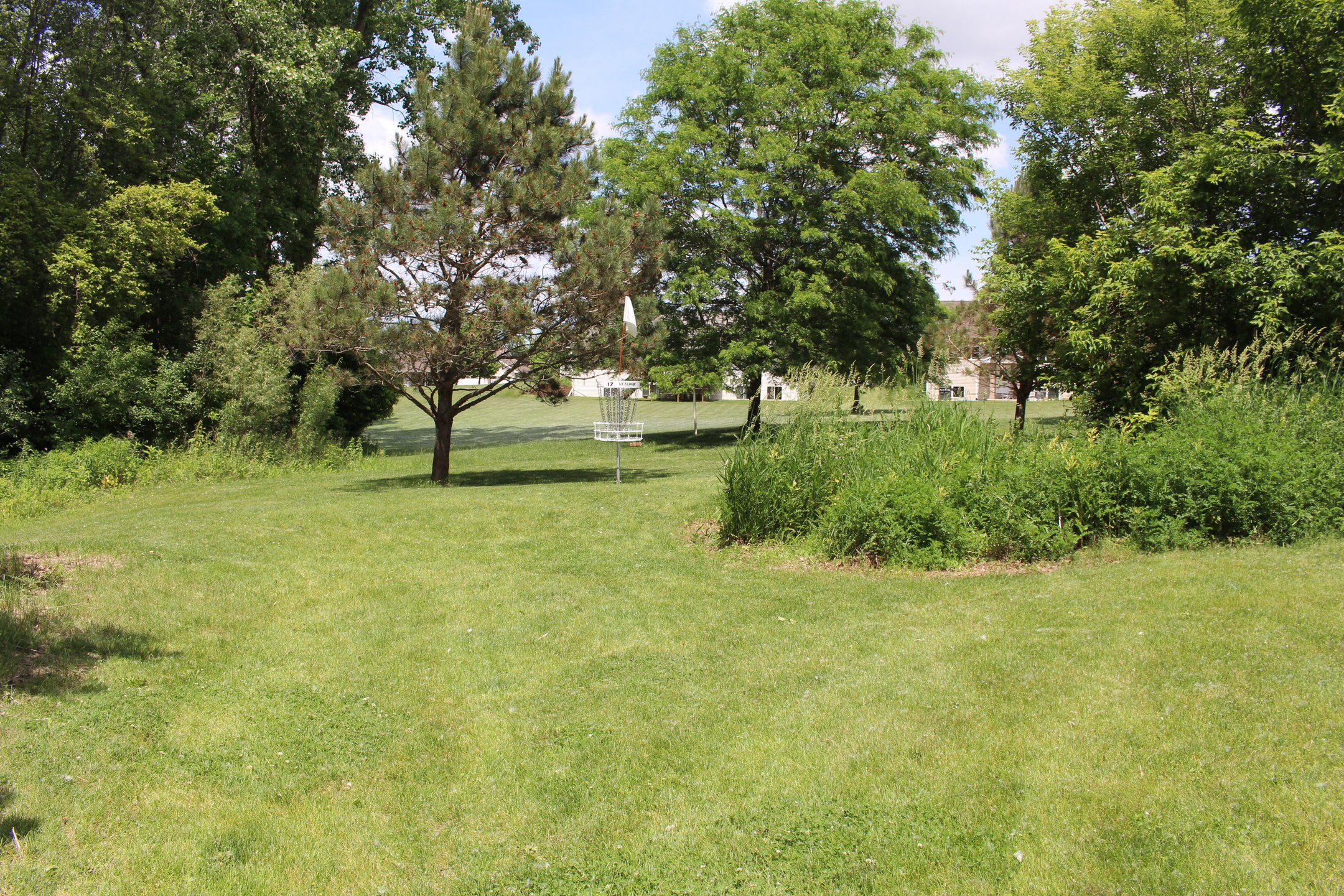 #17: Touchy landing zone between weeds, pine tree, and slope to the left.