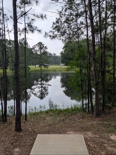 Hole 4's Tee
