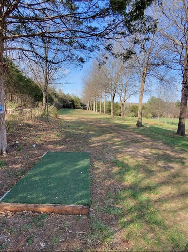 Hole 7 White