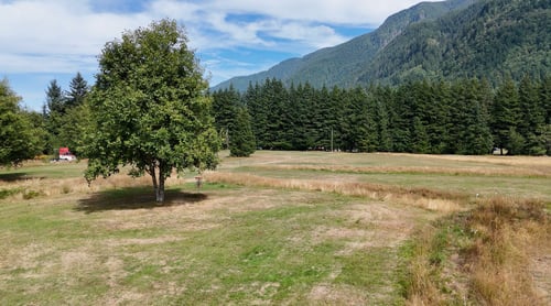 Hole 14 pin