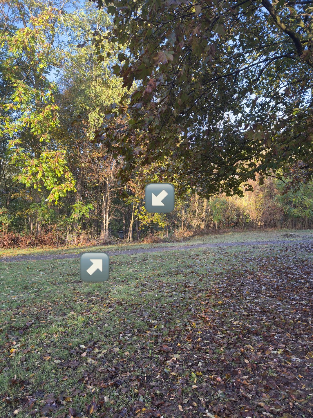Basket is slightly in the woods down the hill. 