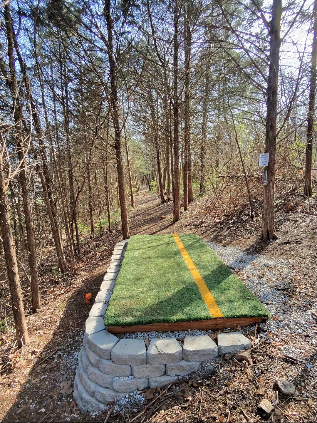 Hole 5 White
