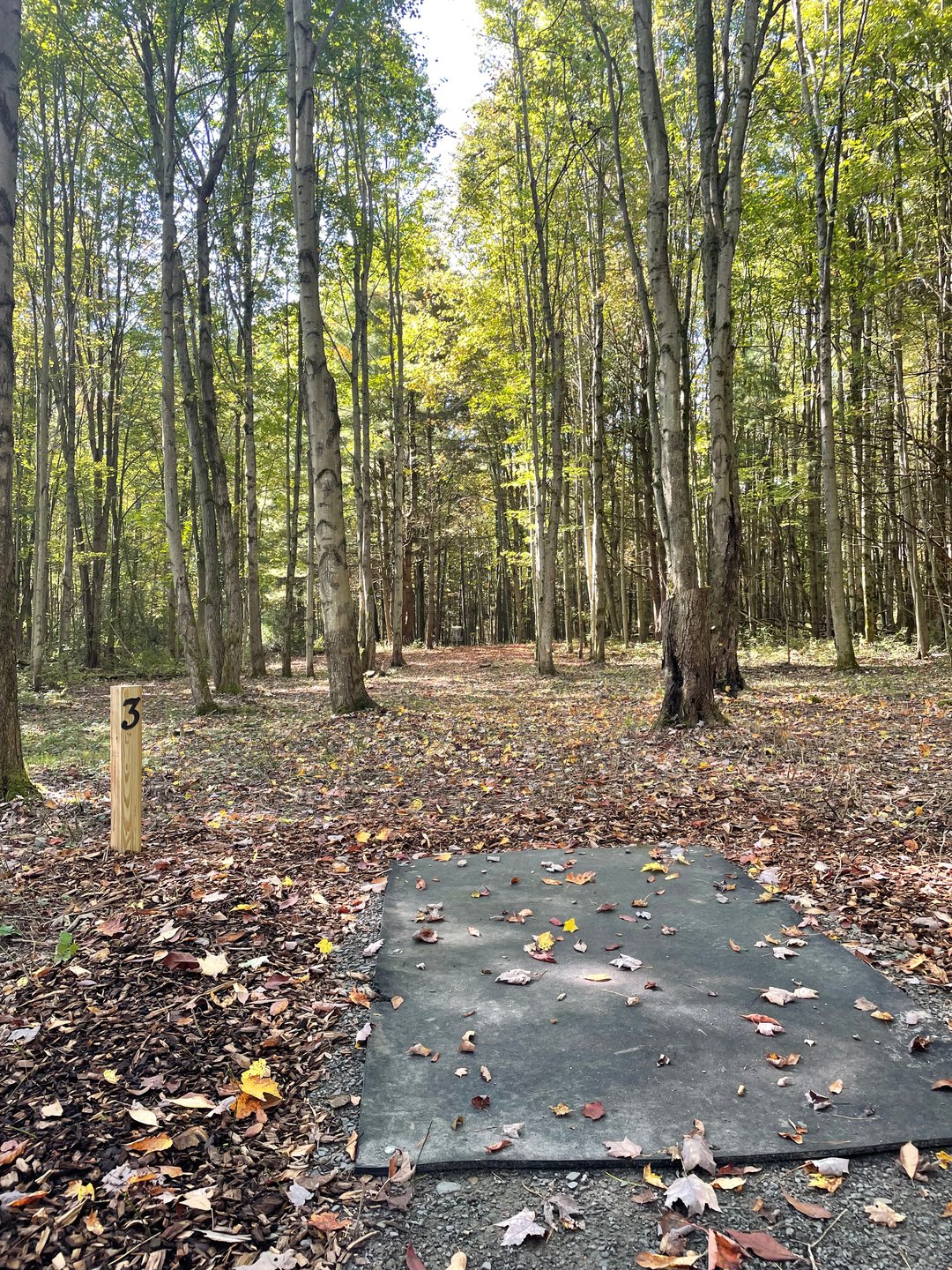 Hole 3, Tee. 
