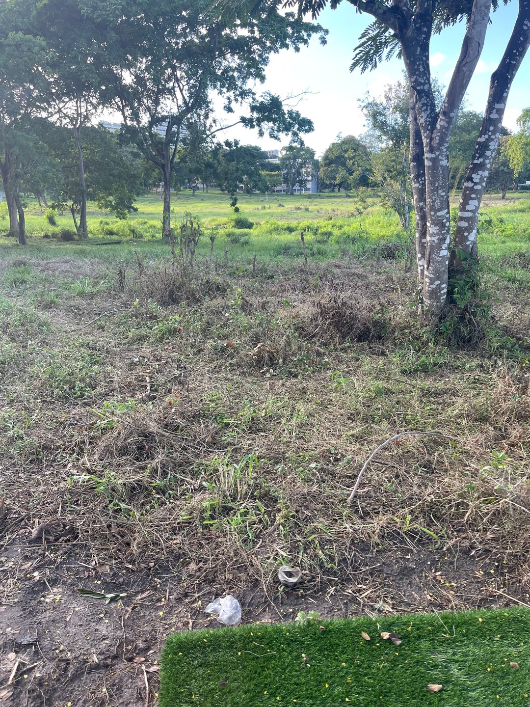 Hole 13 Long Pad