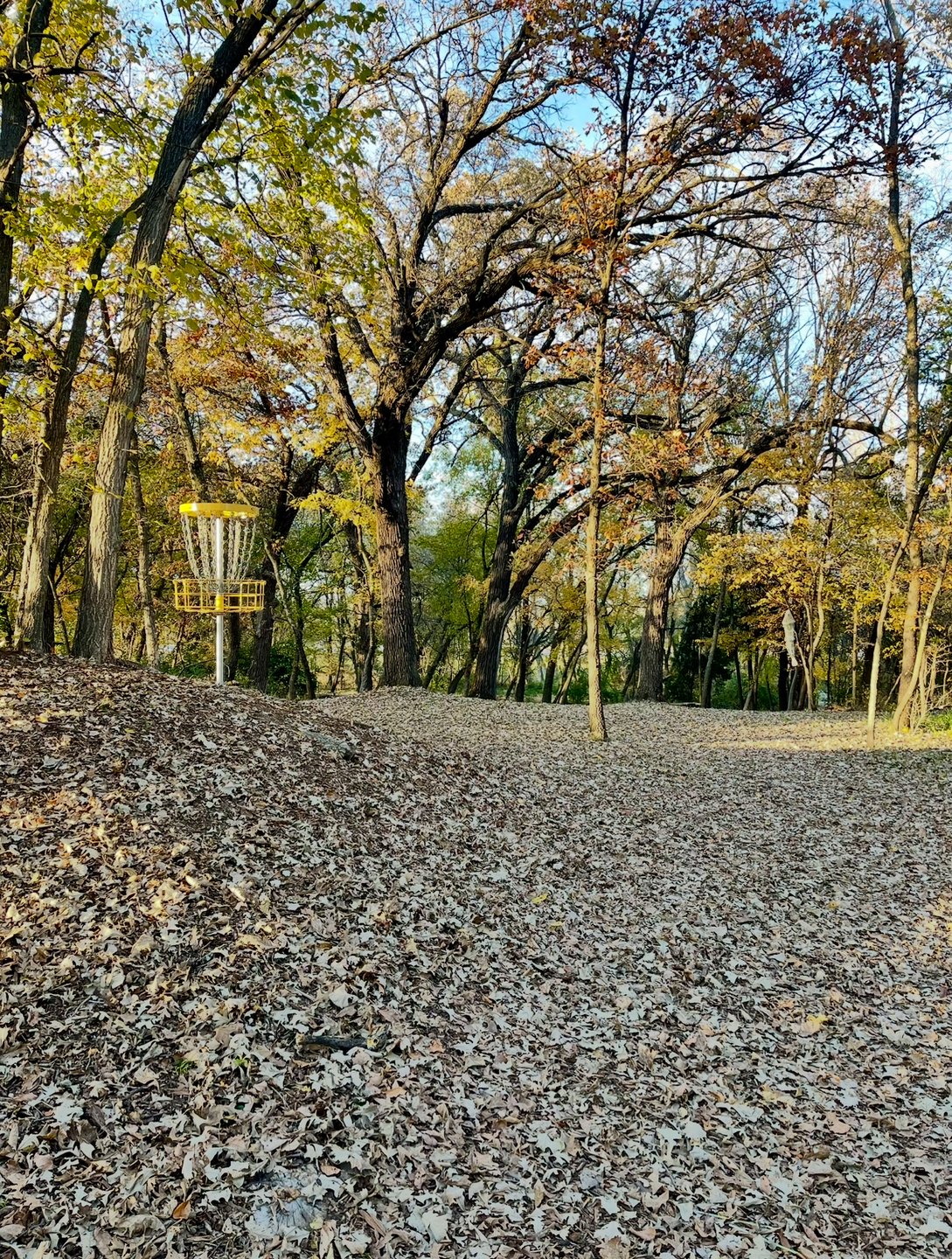 Hole 2 - Green looking back to tee pads. Pin on mound with rollaway potential. 