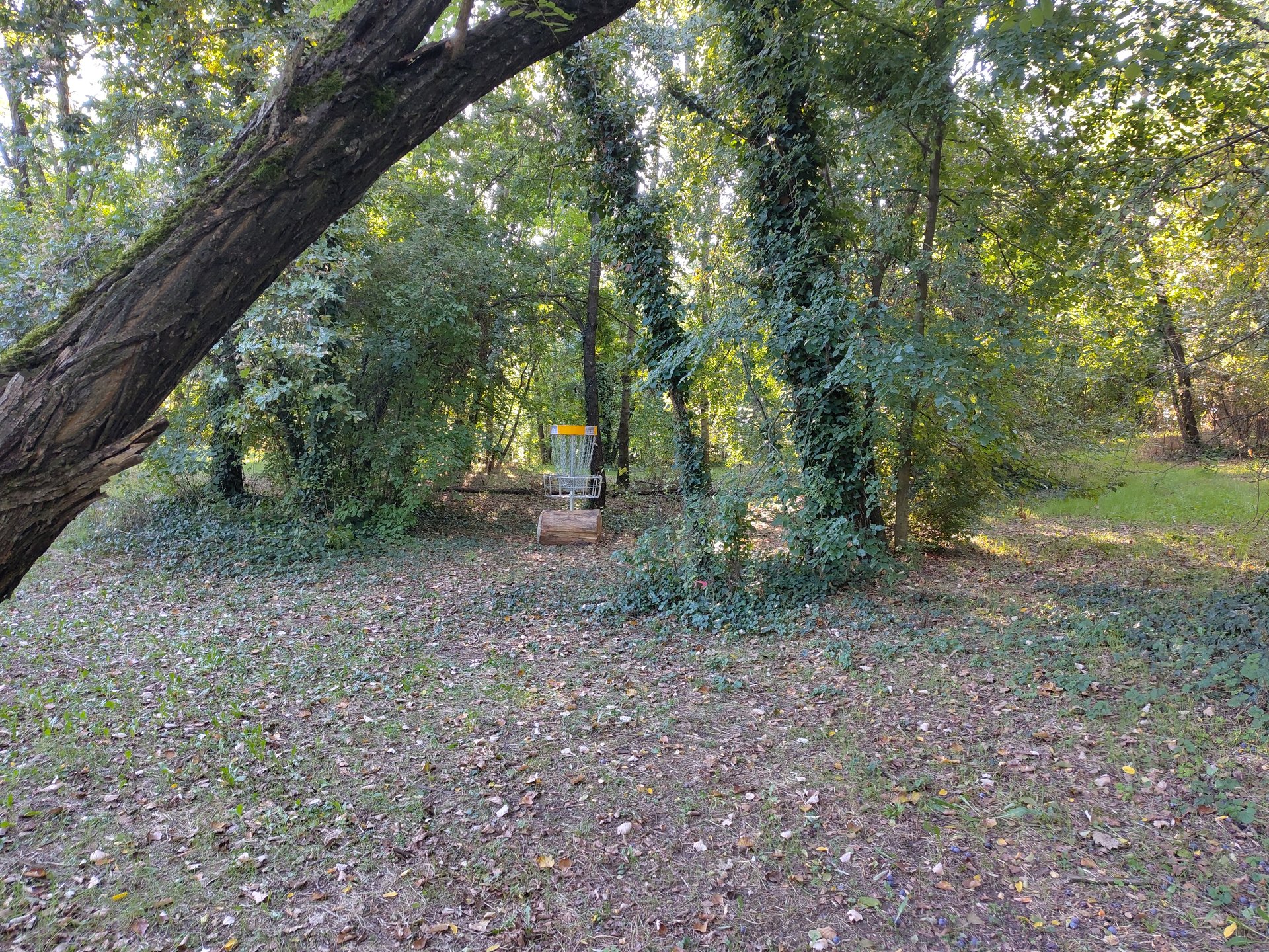 basket hole 6