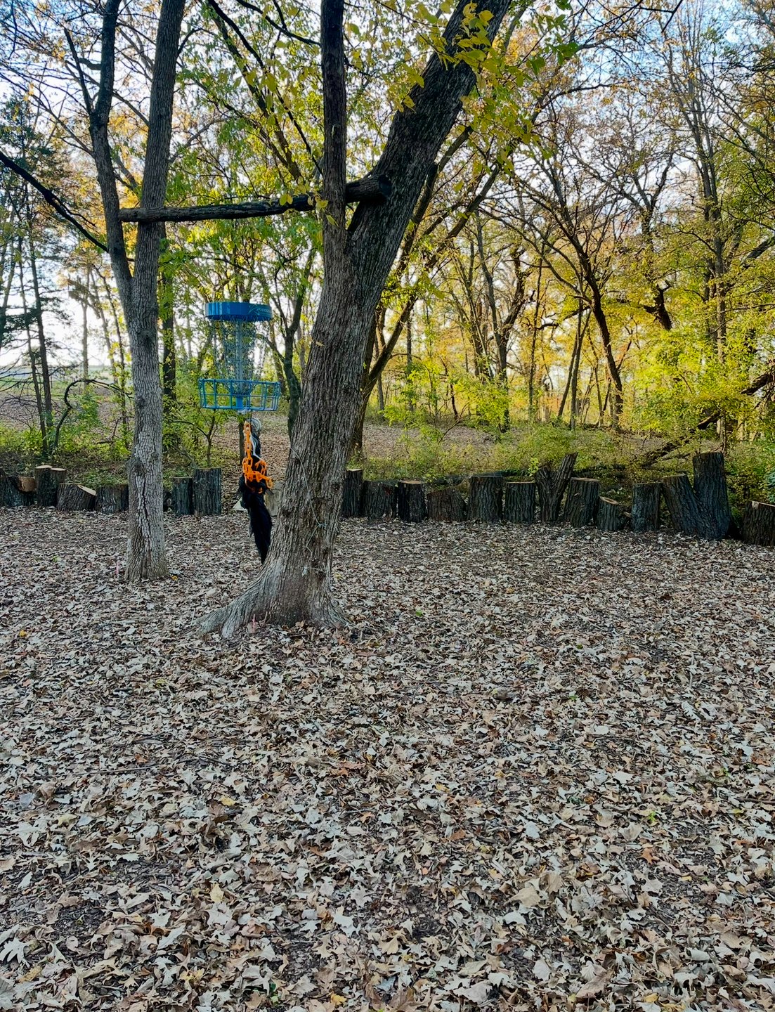 Hole 3 - Green. Ace run available but beyond 2’ or so stumps is OB creek and beyond. 