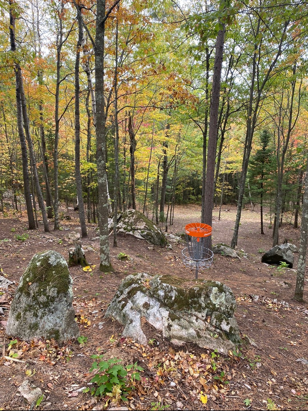 Squirrel Hill Disc Golf Course