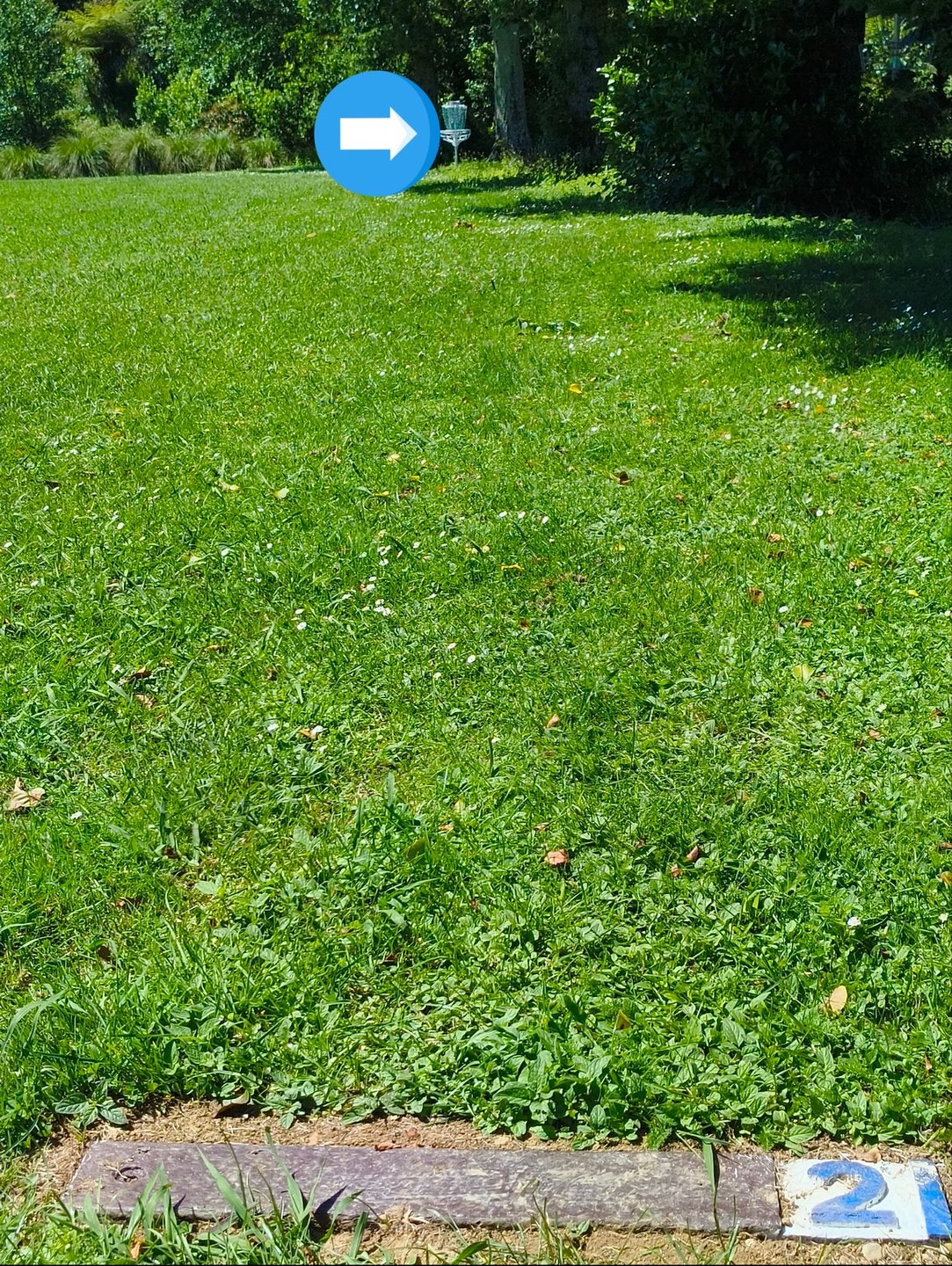 T2 course side of Park Ave.