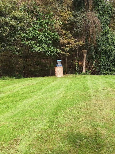 Raised basket by using massive stump