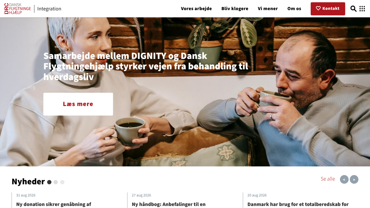 Integration consultancy screenshot
