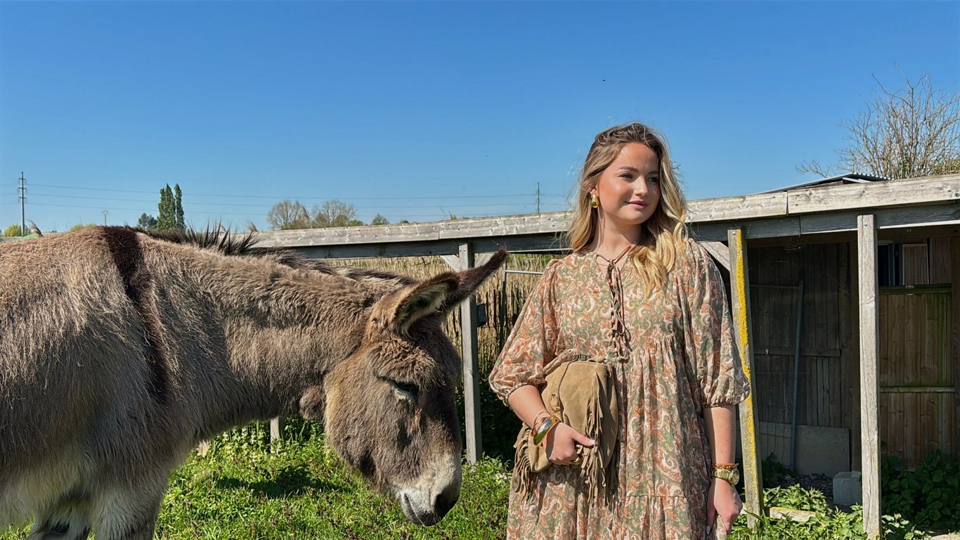 COUP DE COEUR Du moment - Sodress