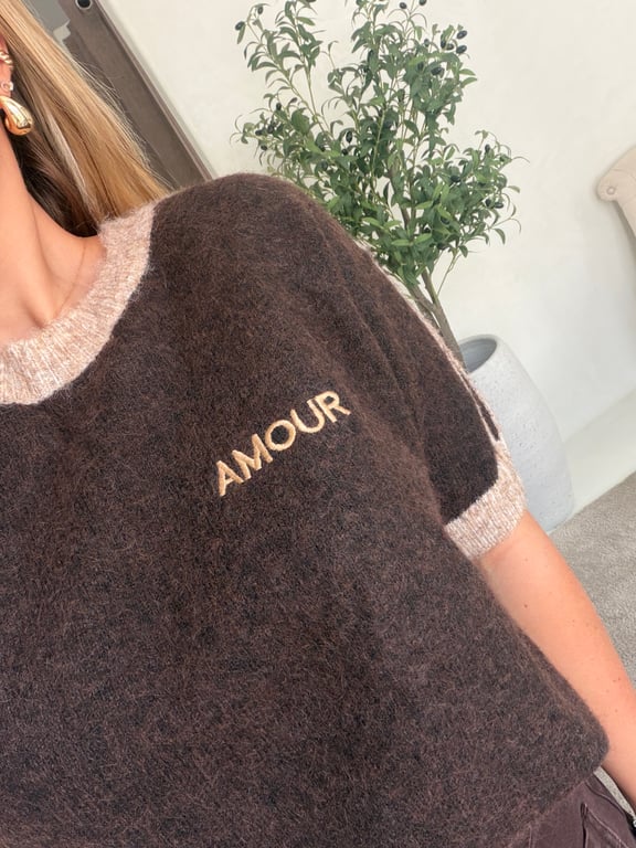 Pull manches courtes marron à bandes beige et broderie "Amour" — vue alternative