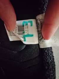 Plastron ccm 2
