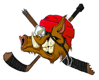 Logo du club de hockey Hockey Club de Romorantin