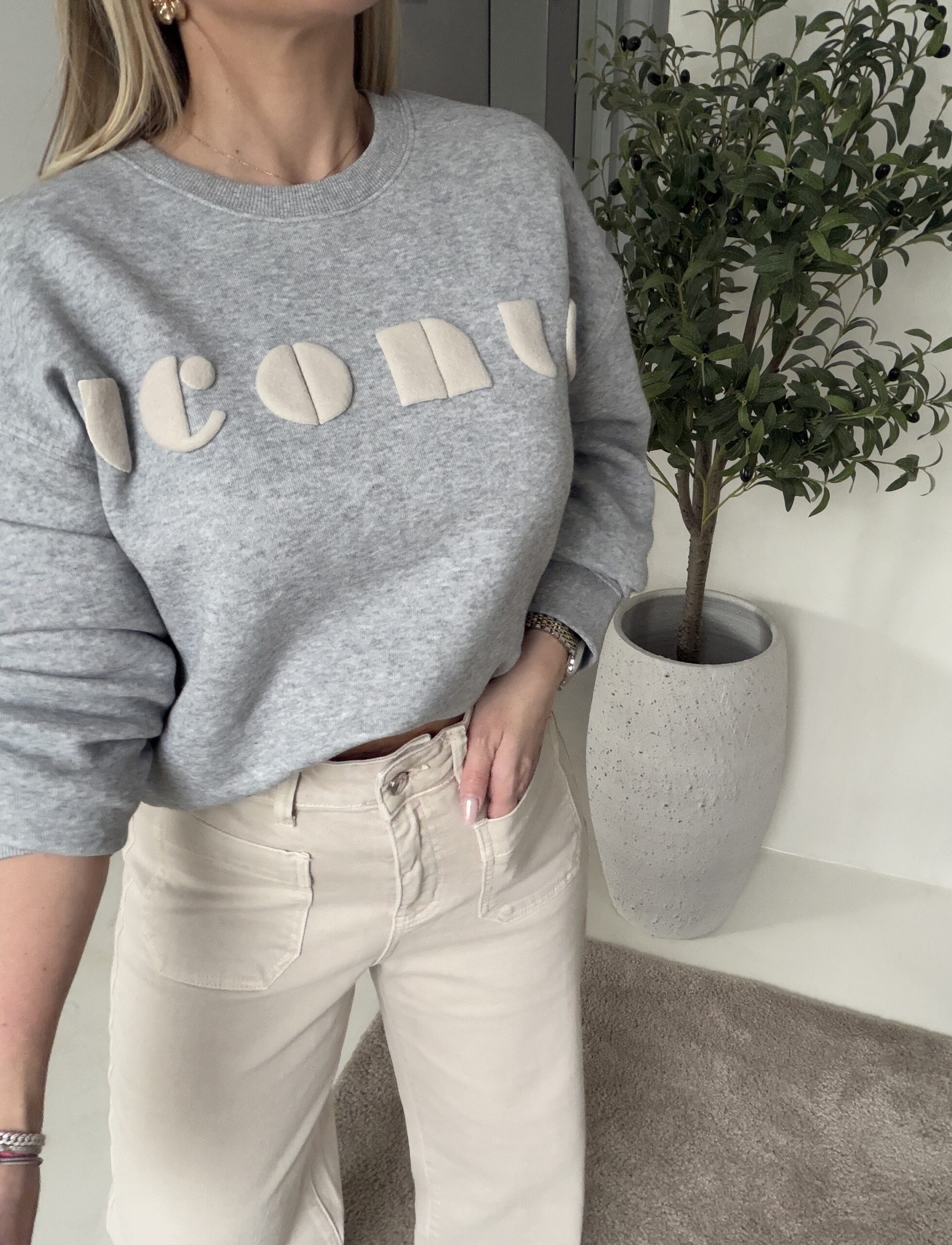 Sweat gris iconic — vue 2