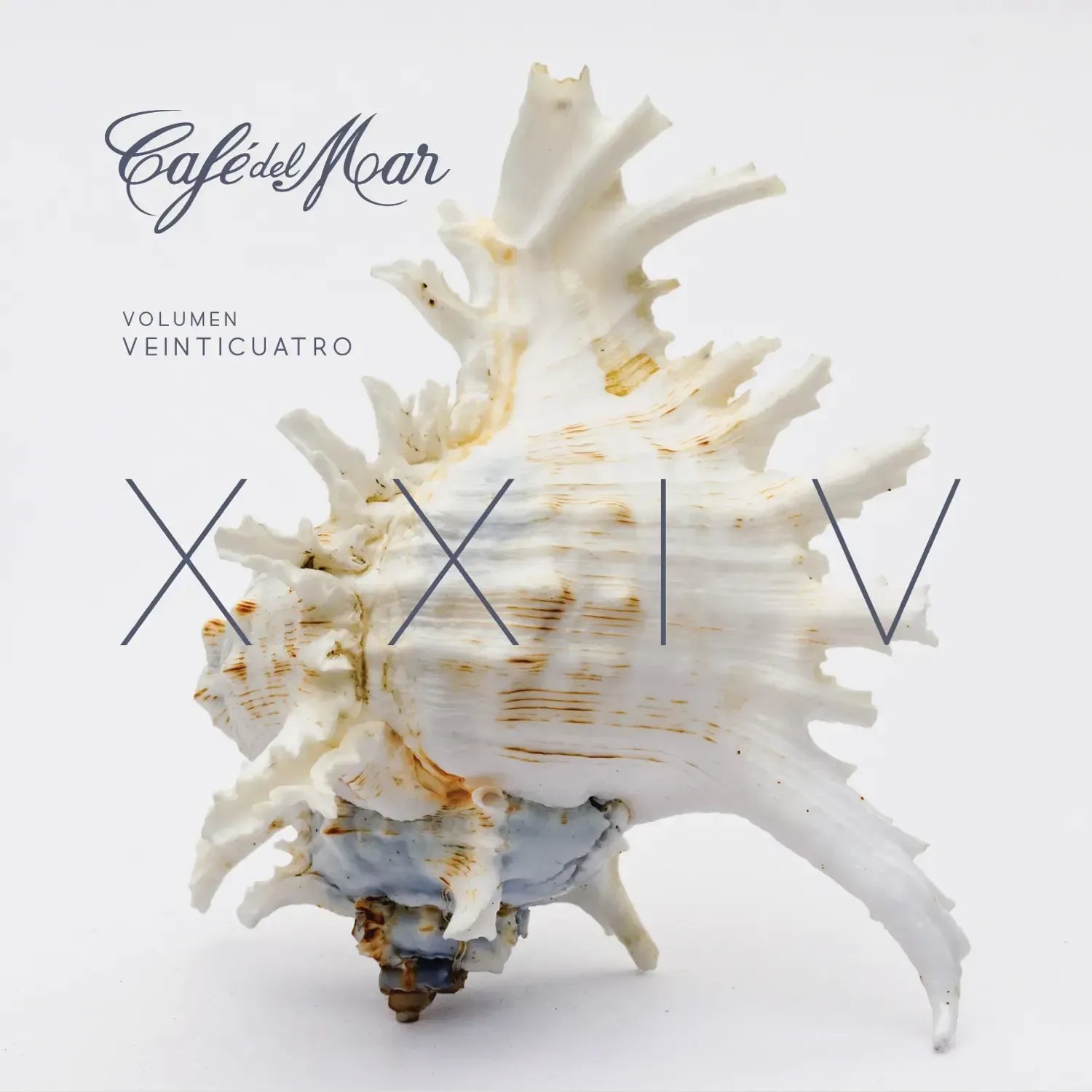 Volume XXIV (Vol. 24)