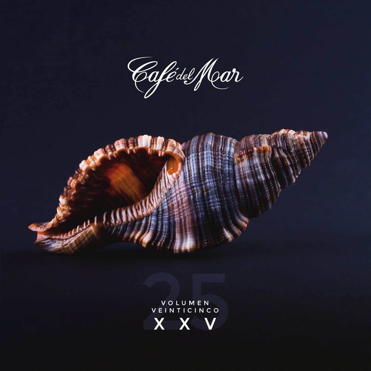 Volumen XXV (Vol. 25)