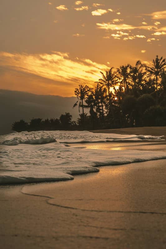 Goa