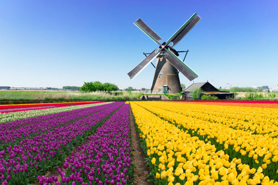 Netherlands