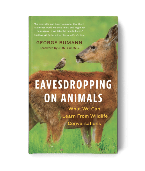 Evesdropping on Animals