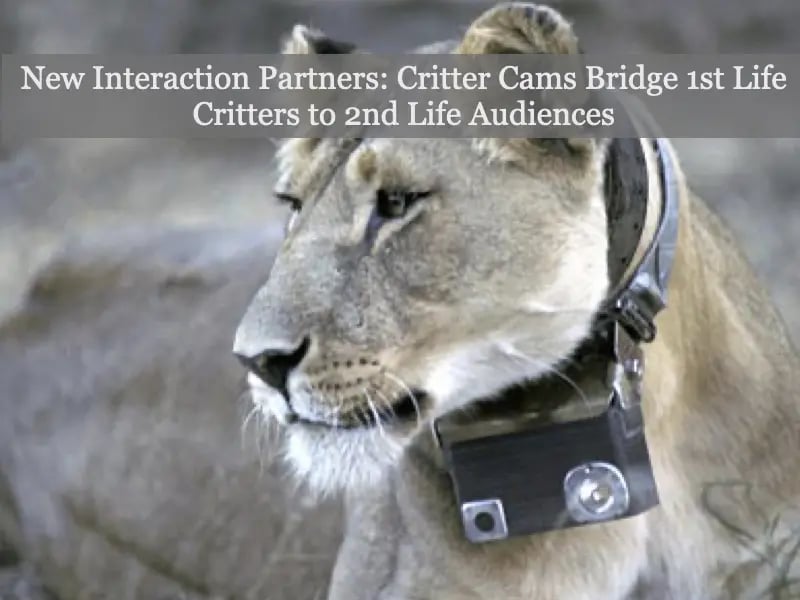 Slides from my Keynote at the Share Festival 2008