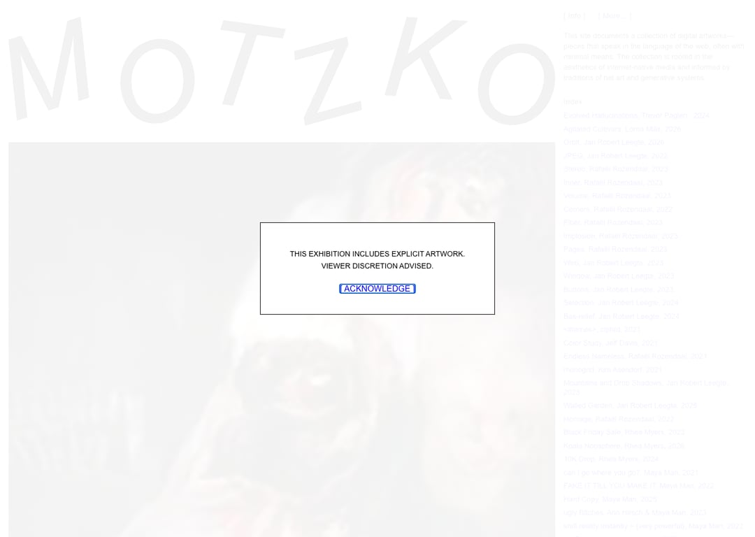 Screenshot of MOTZKO.