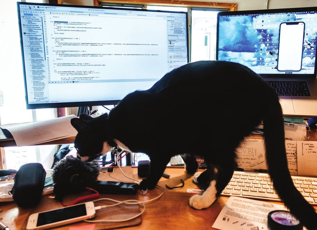 A black-and-white cat crossing an OMATA development workstation with Xcode, an iPhone, notes, and cables on the desk.