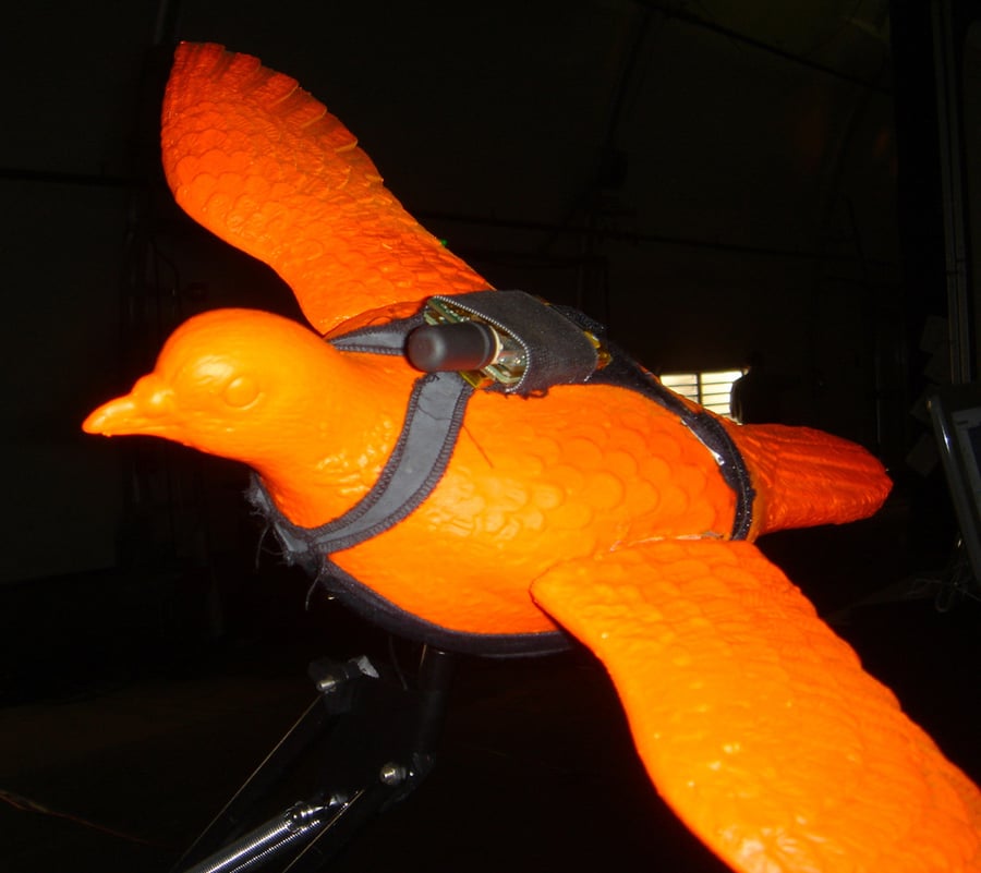An orange plastic model of a pigeon with a black radio backpack strapped on its back.