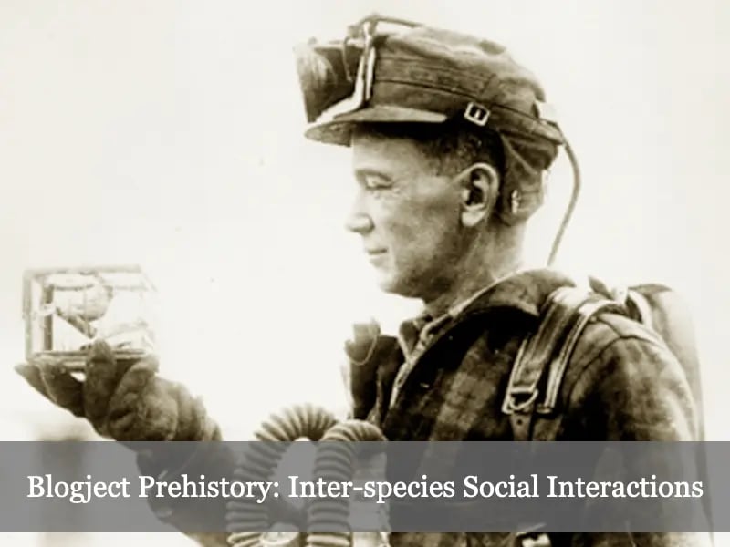 Slides from my Keynote at the Share Festival 2008