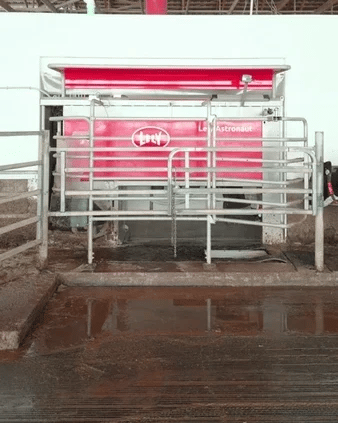 From Cow-Milking Robots to Weed-Zapping Lasers, Farmers Are Embracing A.I.