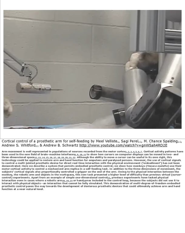 Images from the Near Future Laboratory SxSW 2012 Presentation on Brain Consciousness User Interfaces SxSW 2012