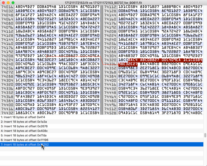 A hex editor showing a ride file, with annotations listing byte offsets where frames were written twice.