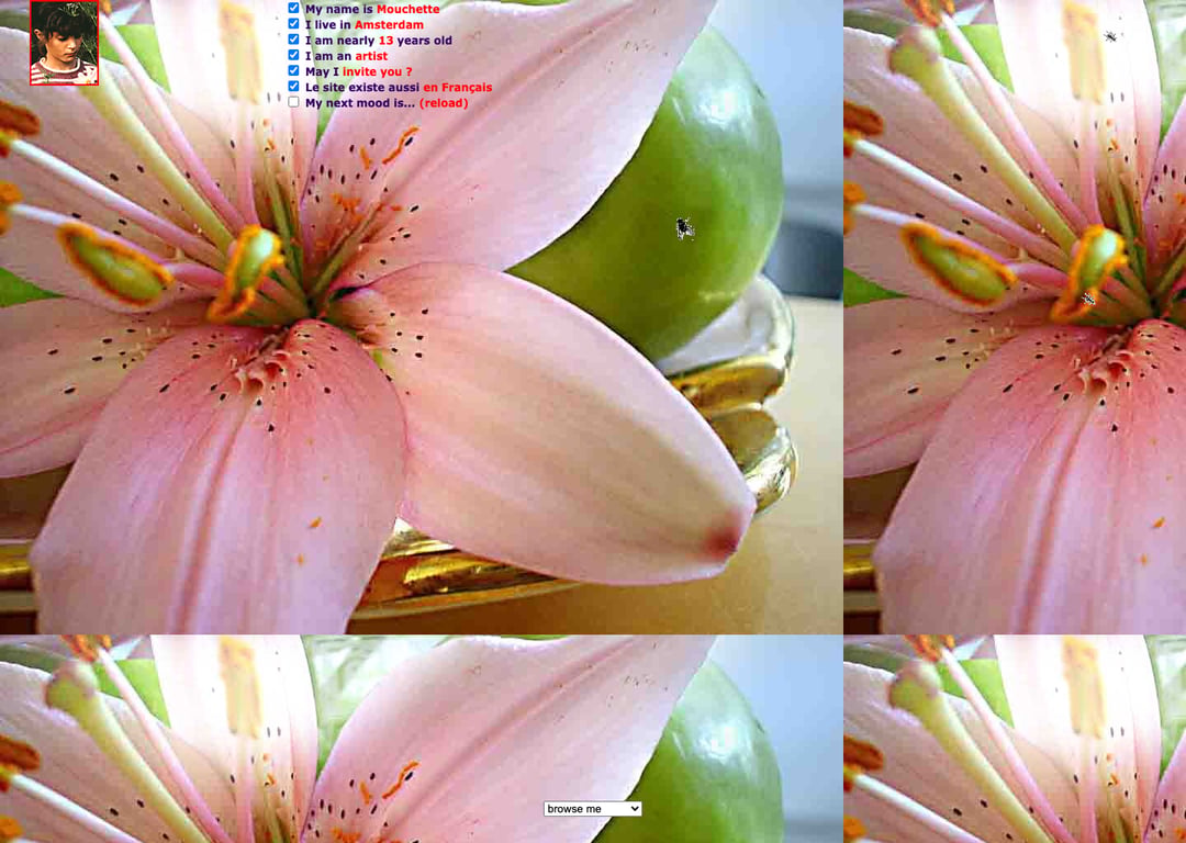 Screenshot of *MOUCHETTE*.