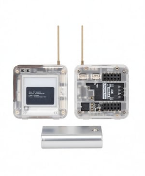 Long Oracle Radio Asset Sale