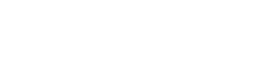 Near Future Laboratory