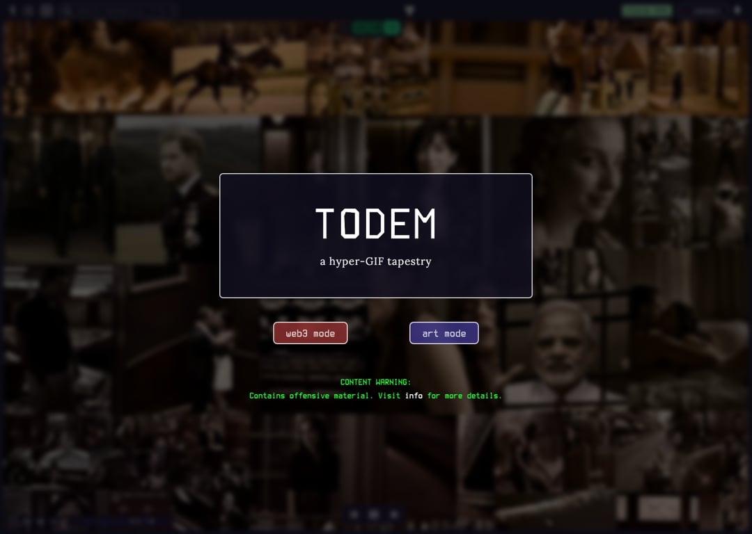 Screenshot of TODEM.