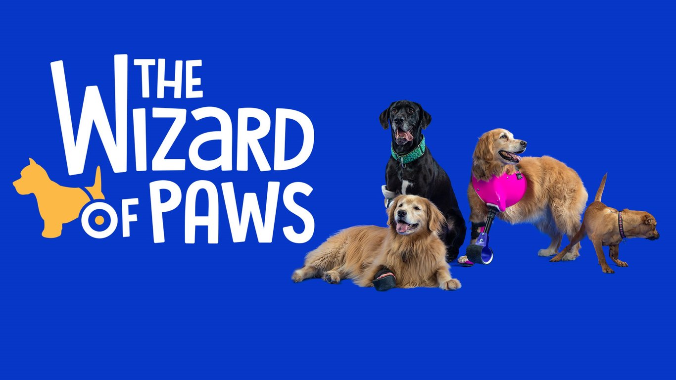 Wizard of Paws