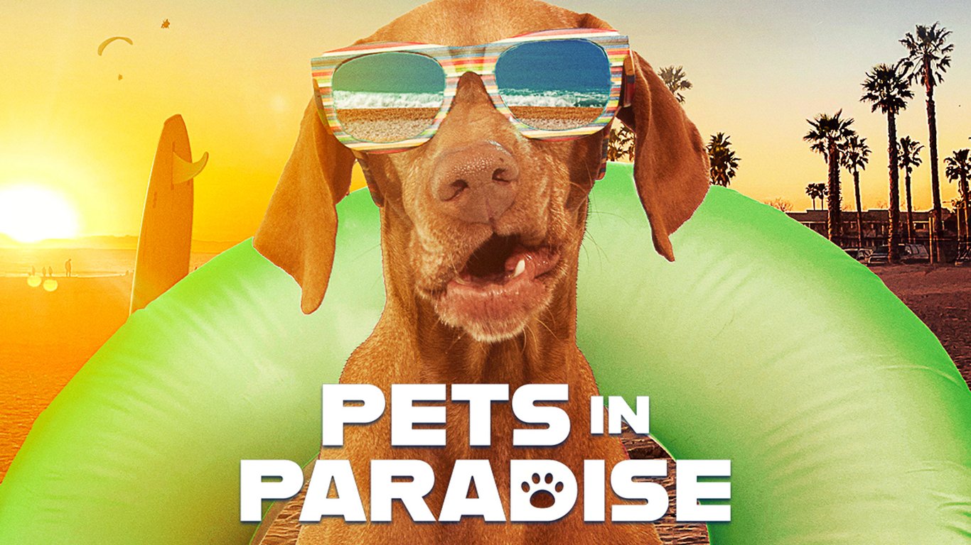 Pets in Paradise