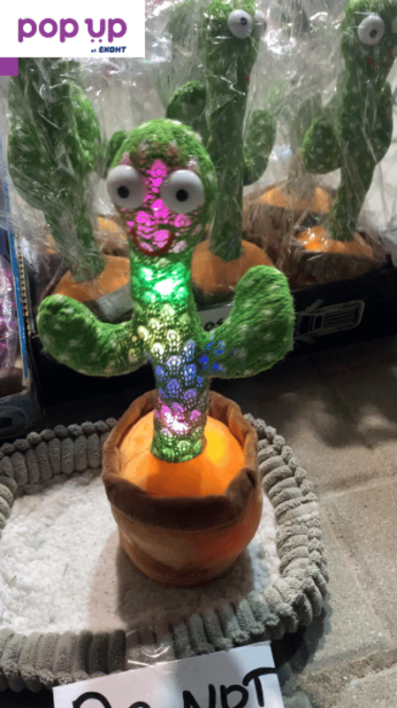 Танцуващ кактус/ Повтарящ кактус/Dancing cactus