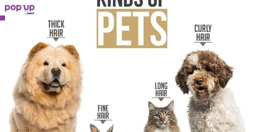 Комплект за груминг/ подстригване на кучета PetKing Premium