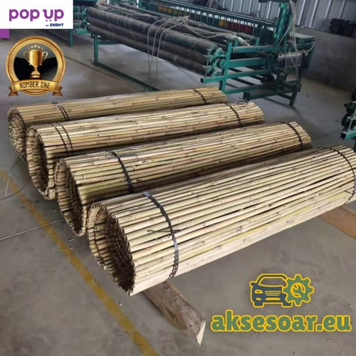 100 броя семена от декоративен бамбук Moso Bamboo зелен МОСО БАМБО за декорация и дървесина
