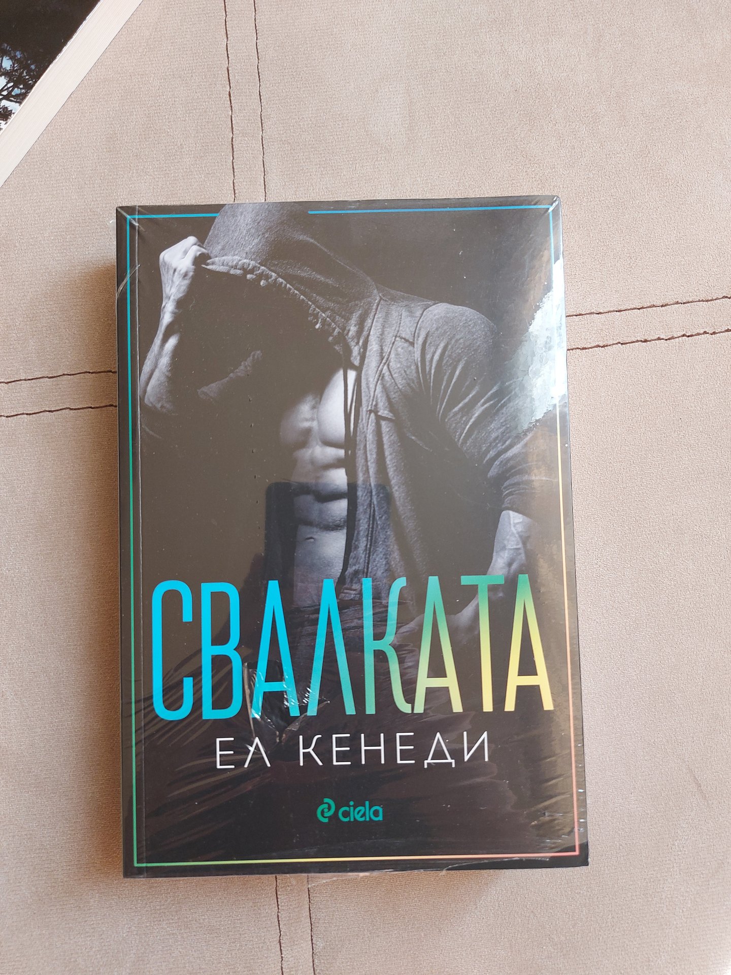 Книга Свалката