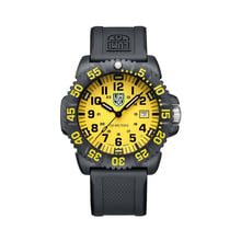 Мъжки часовник Luminox Sea Lion CARBONOX™ X2.2055.1