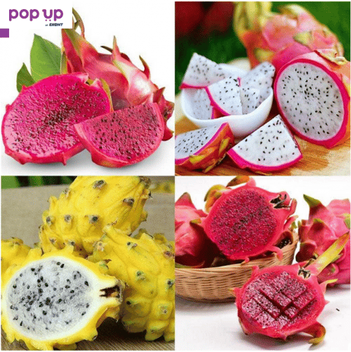 200 семена ароматни екзотични вида питая редки драконови плодове от кактус декорация и свежест