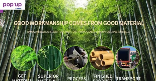 100 Семена от бамбук за паркет декорация мосо бамбо бамбукови семена за украса и дървен материал